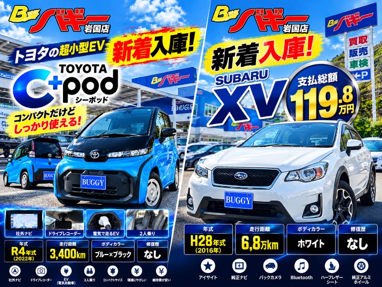 最新のチラシ